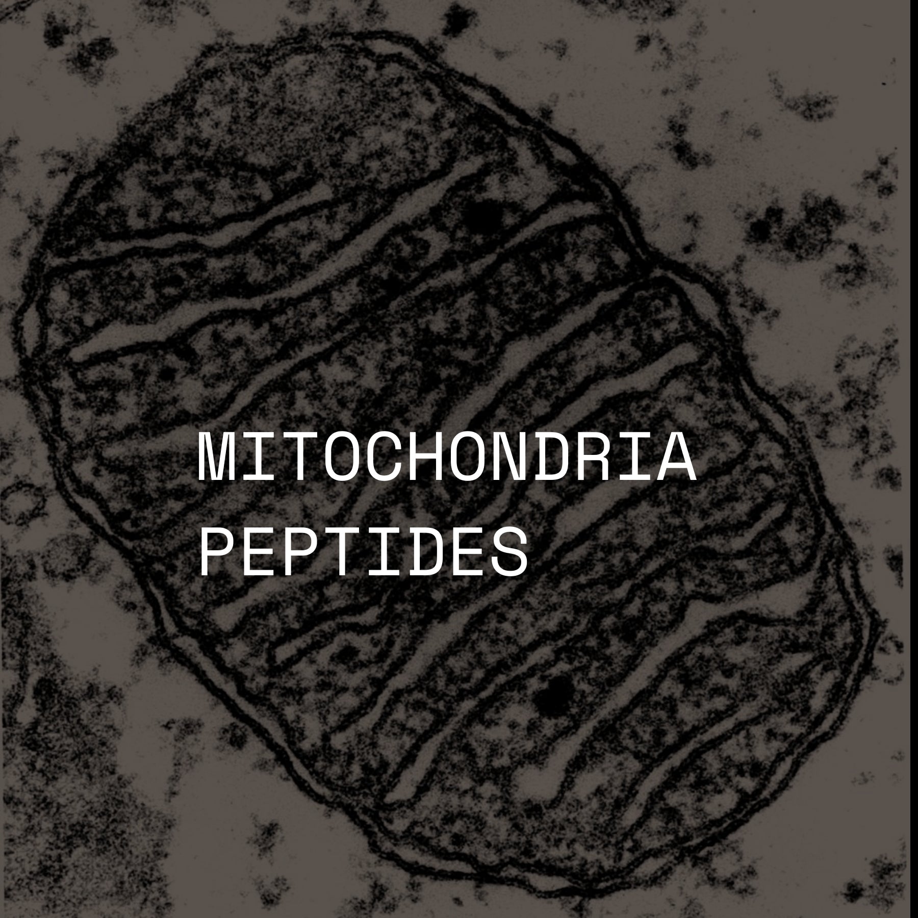 MITOCHONDRIA PEPTIDES